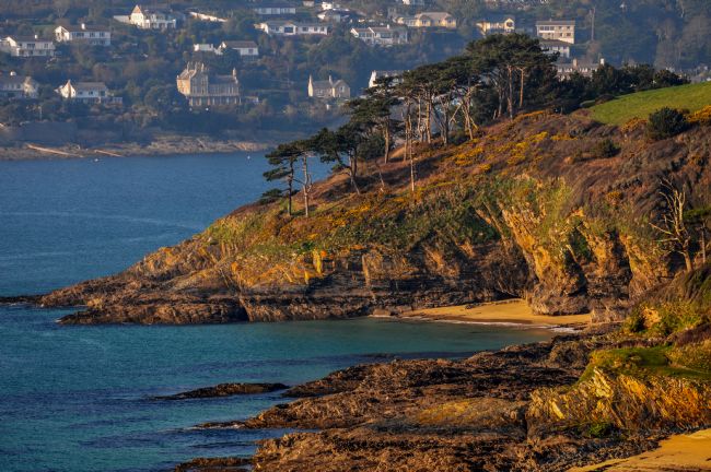 Mike Carroll | Golden Hour at Roseland