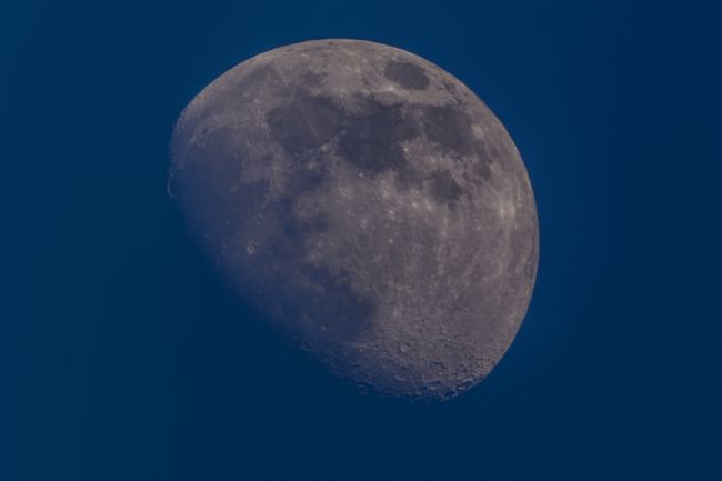 Mike Carroll | Blue moon