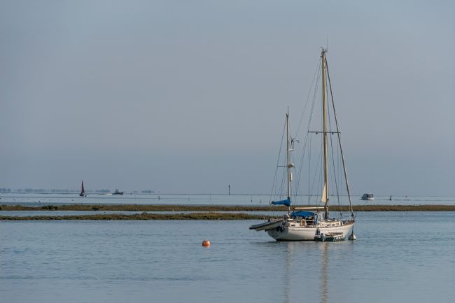 Mike Carroll | Serenity