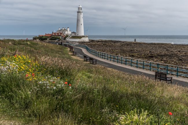 Mike Carroll | St Mary's Lighthouse