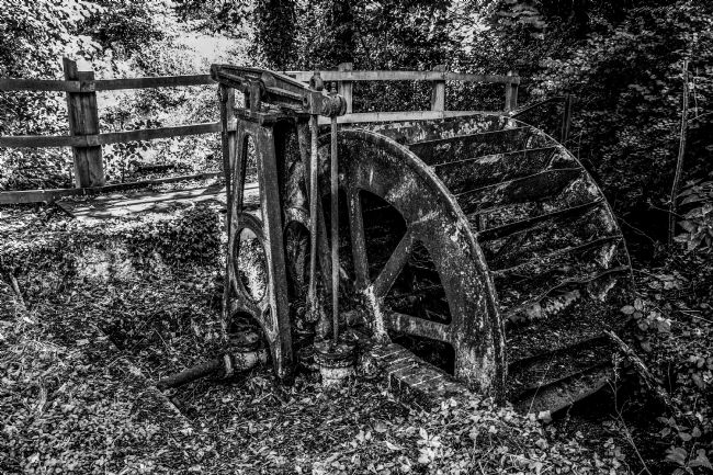 Mike Carroll | Old water wheel at Panshanger Park