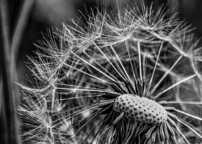 Mike Carroll | Blown away