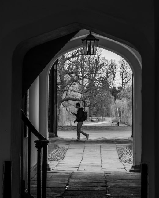 Mike Carroll | Cambridge Walker