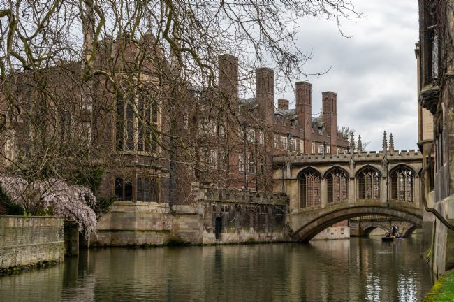 Mike Carroll | Bridge of Sighs