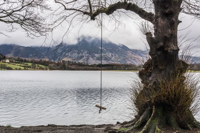 Mike Carroll | Anyone for a swing