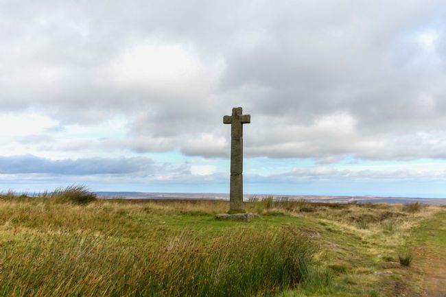Mike Carroll | Ancient Cross 
