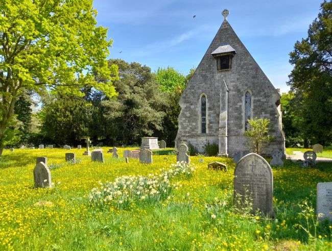 Mike Carroll | Fields of Gold