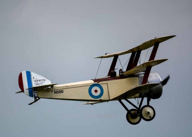 Mike Carroll | Sopwith Triplane