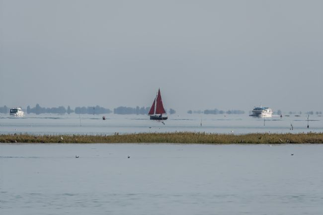 Mike Carroll | Red Sail