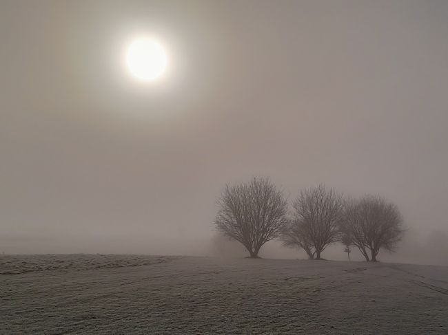 Mike Carroll | On a cold and frosty morning