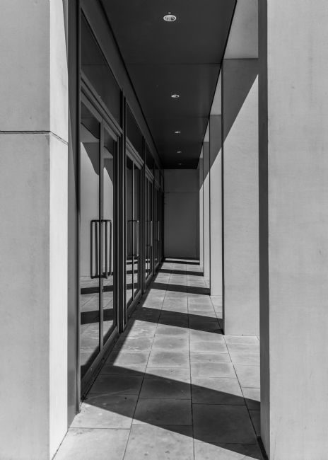 Mike Carroll | Light and Shade