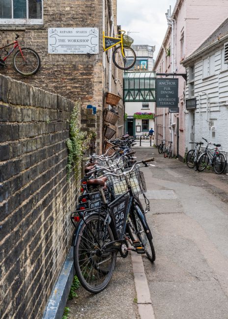 Mike Carroll | The Bicycle Workshop 