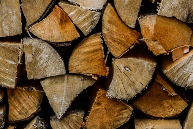 Mike Carroll | The Wood Pile