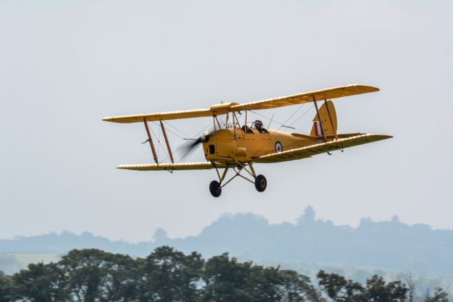 Mike Carroll | Tiger Moth