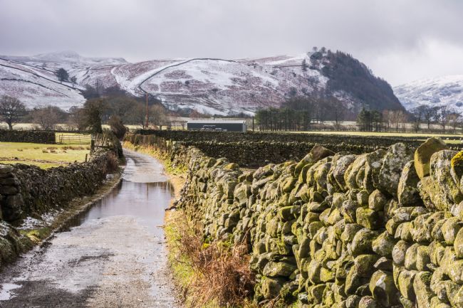 Mike Carroll | Lane after the snow