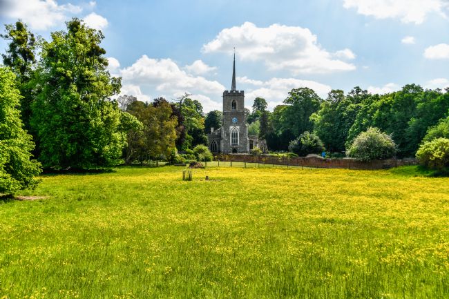 Mike Carroll | Mellow Yellow