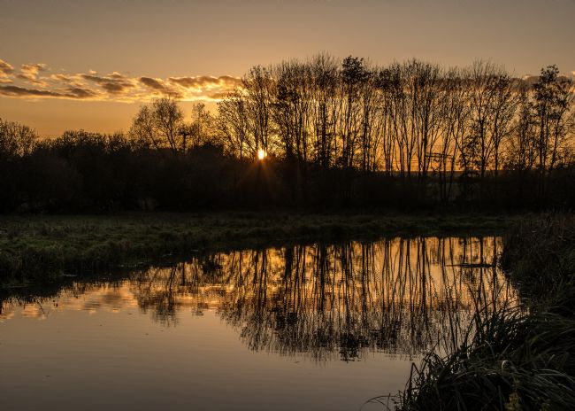 Mike Carroll | Stort Sunset