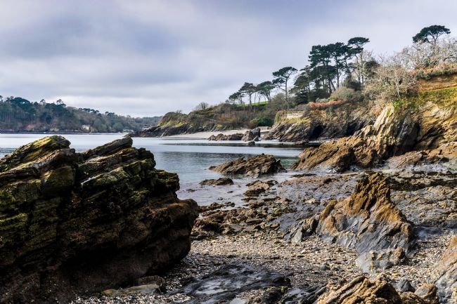 Mike Carroll | Durgan