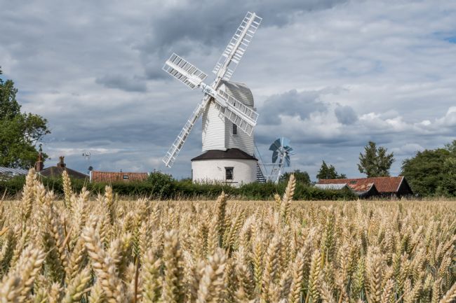 Mike Carroll | Saxtead Green Post Mill