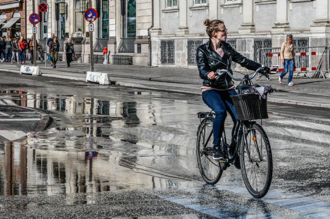 Mike Carroll | Where to now