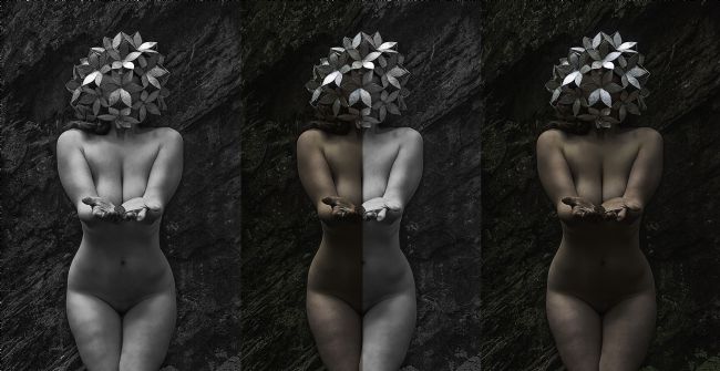 Theodore Crush | Offerings