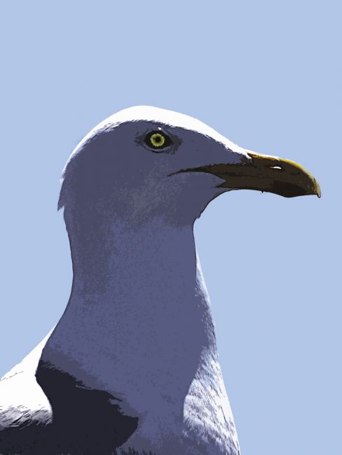 Theodore Crush | Steven