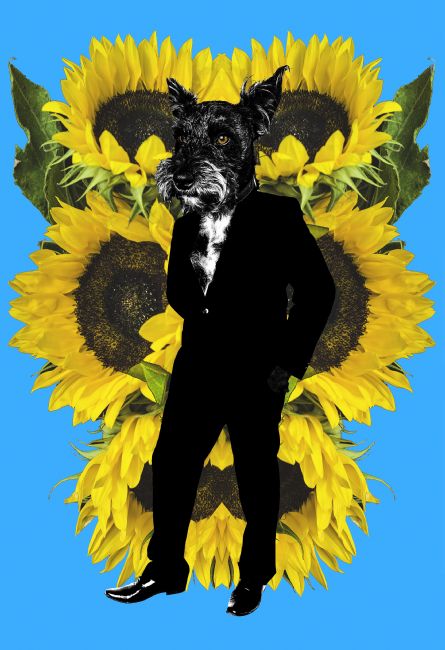 Theodore Crush | Dream Date