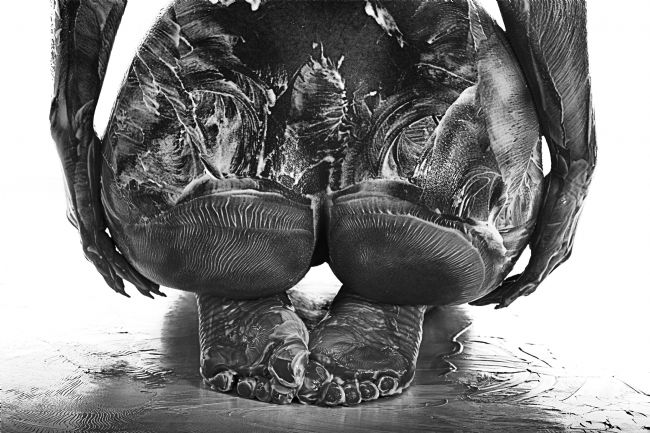 Theodore Crush | Peaches & cream