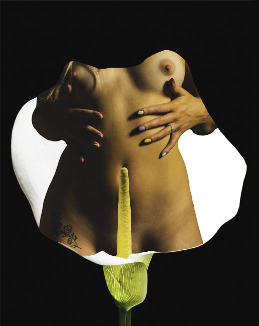 Theodore Crush | Flora & fauna