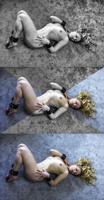 Theodore Crush | New Carpet