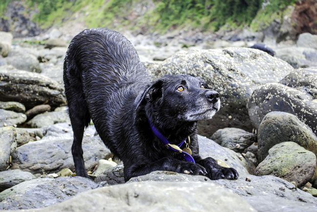 Theodore Crush | Eyes on the prize