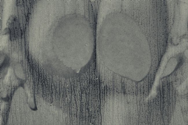 Theodore Crush | Wet Flesh Press