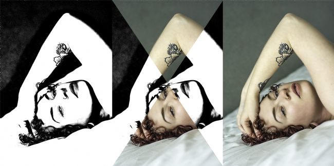 Theodore Crush | Sharks