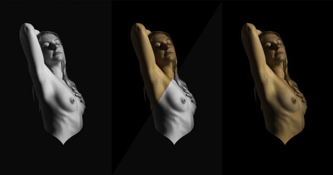 Theodore Crush | Bask