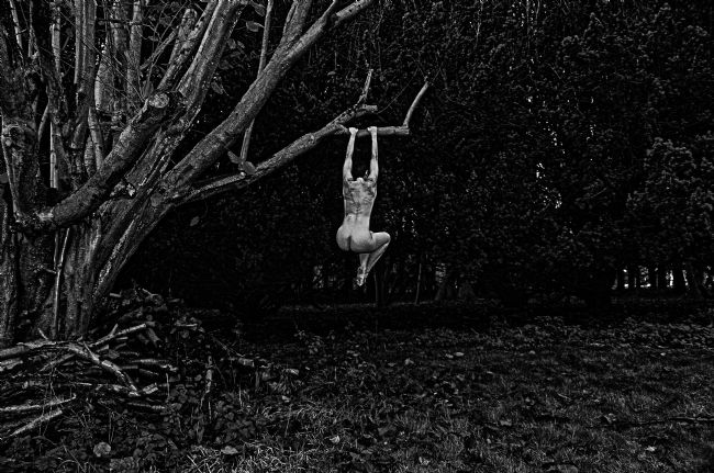 Theodore Crush | Suspend