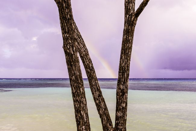 Theodore Crush | Cuba N