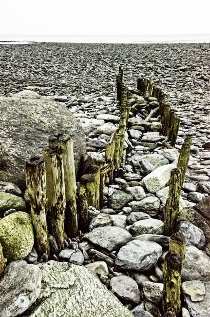 Theodore Crush | Sticks and stones