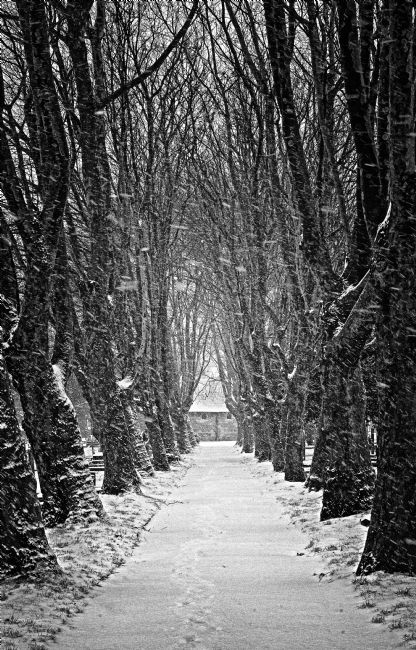 Theodore Crush | Pathway