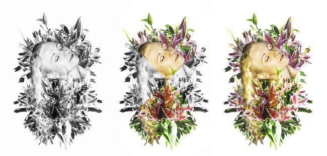 Theodore Crush | In Bloom