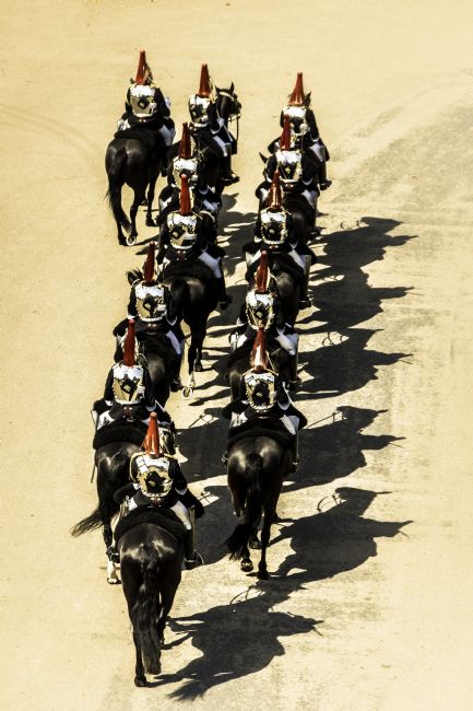 Theodore Crush | Blues and Royals