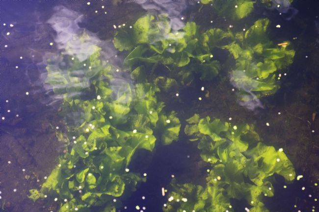 Theodore Crush | Galaxy in flow