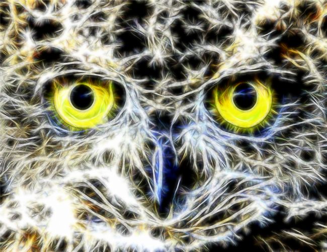 Theodore Crush | Bubo Africanus