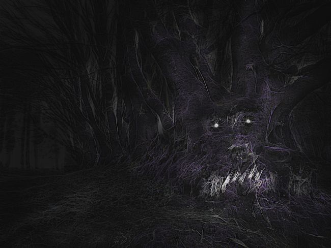 Theodore Crush | The Haunted Forest