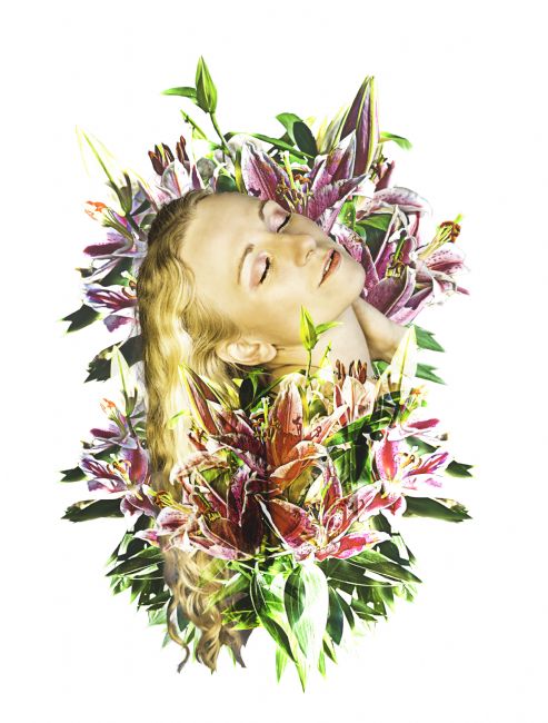 Theodore Crush | KhaLillies