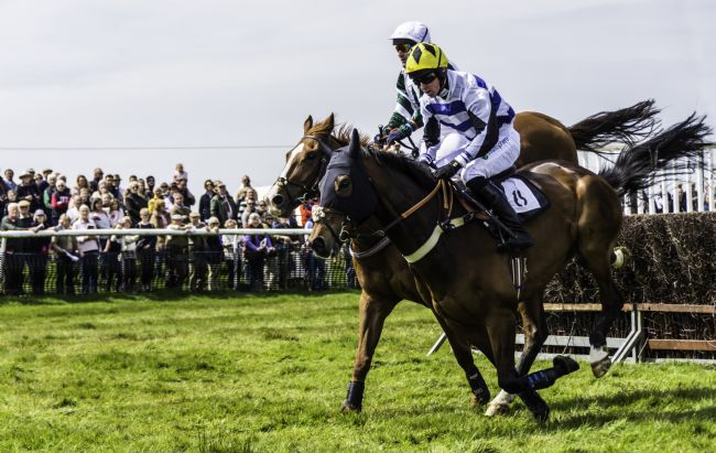 Theodore Crush | Neck and neck