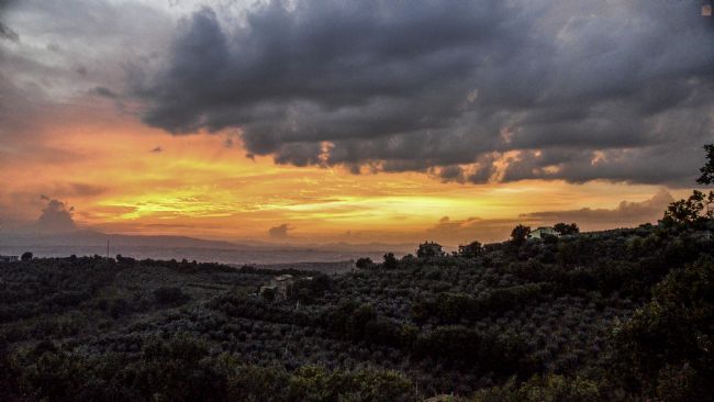Theodore Crush | Umbrian Sunset