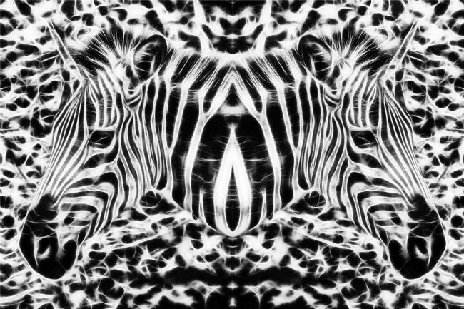 Theodore Crush | Equiferus