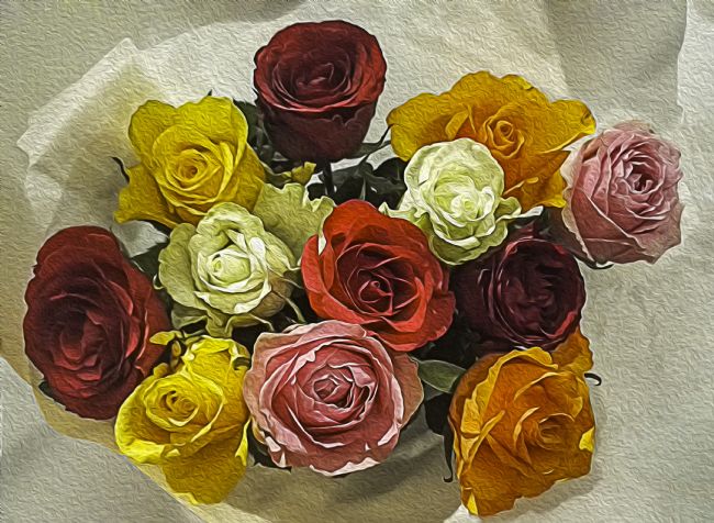 Theodore Crush | A dozen colourful roses