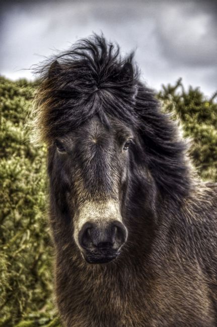 Theodore Crush | Because I'm worth it