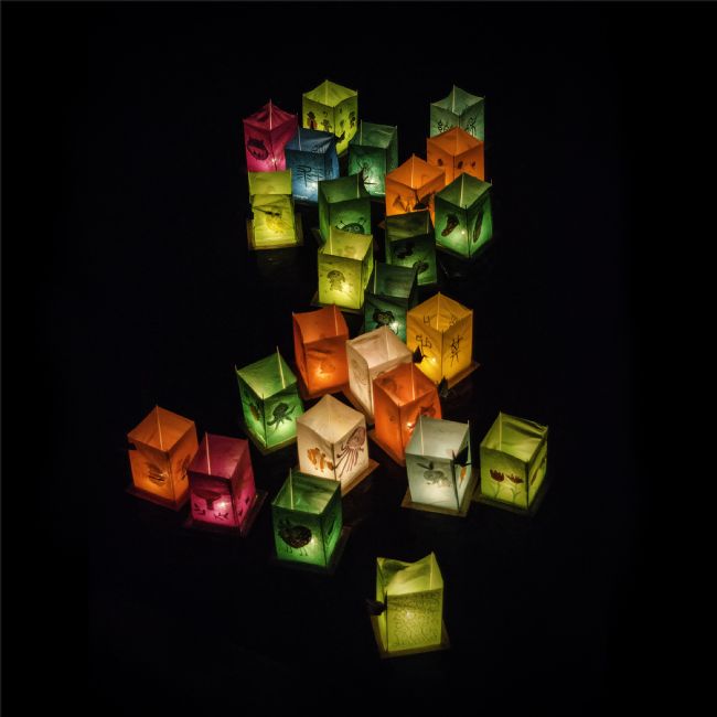 Theodore Crush | Paper Lanterns